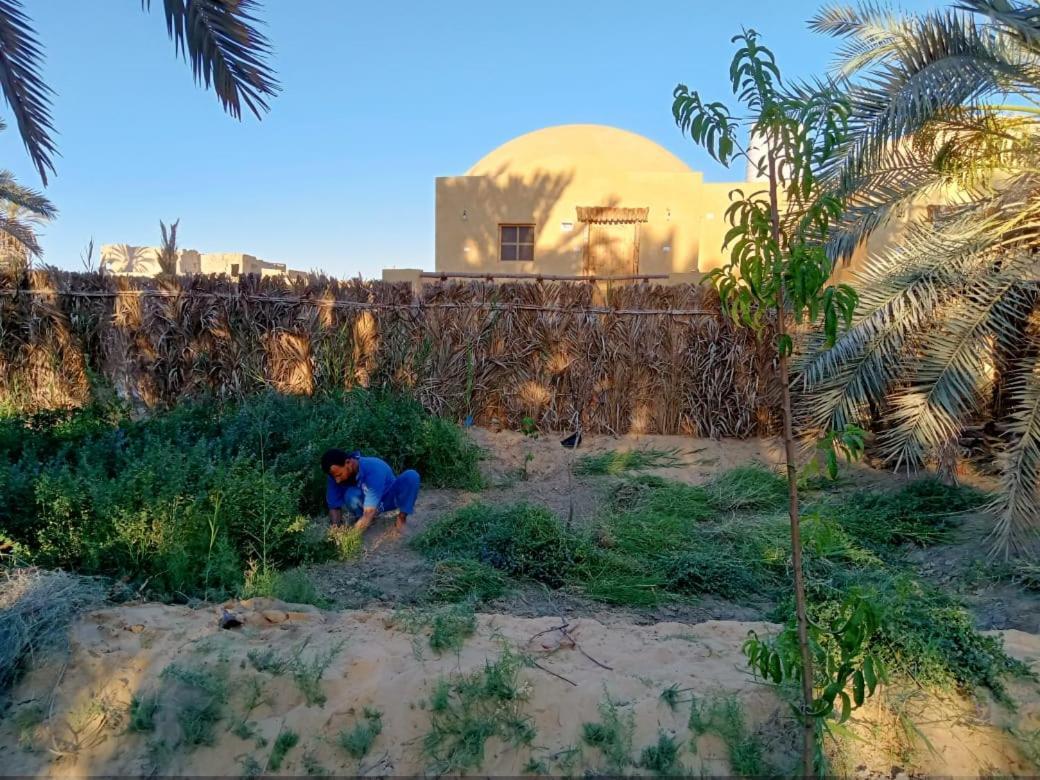 Wafla Villa Siwa Oasis Екстериор снимка
