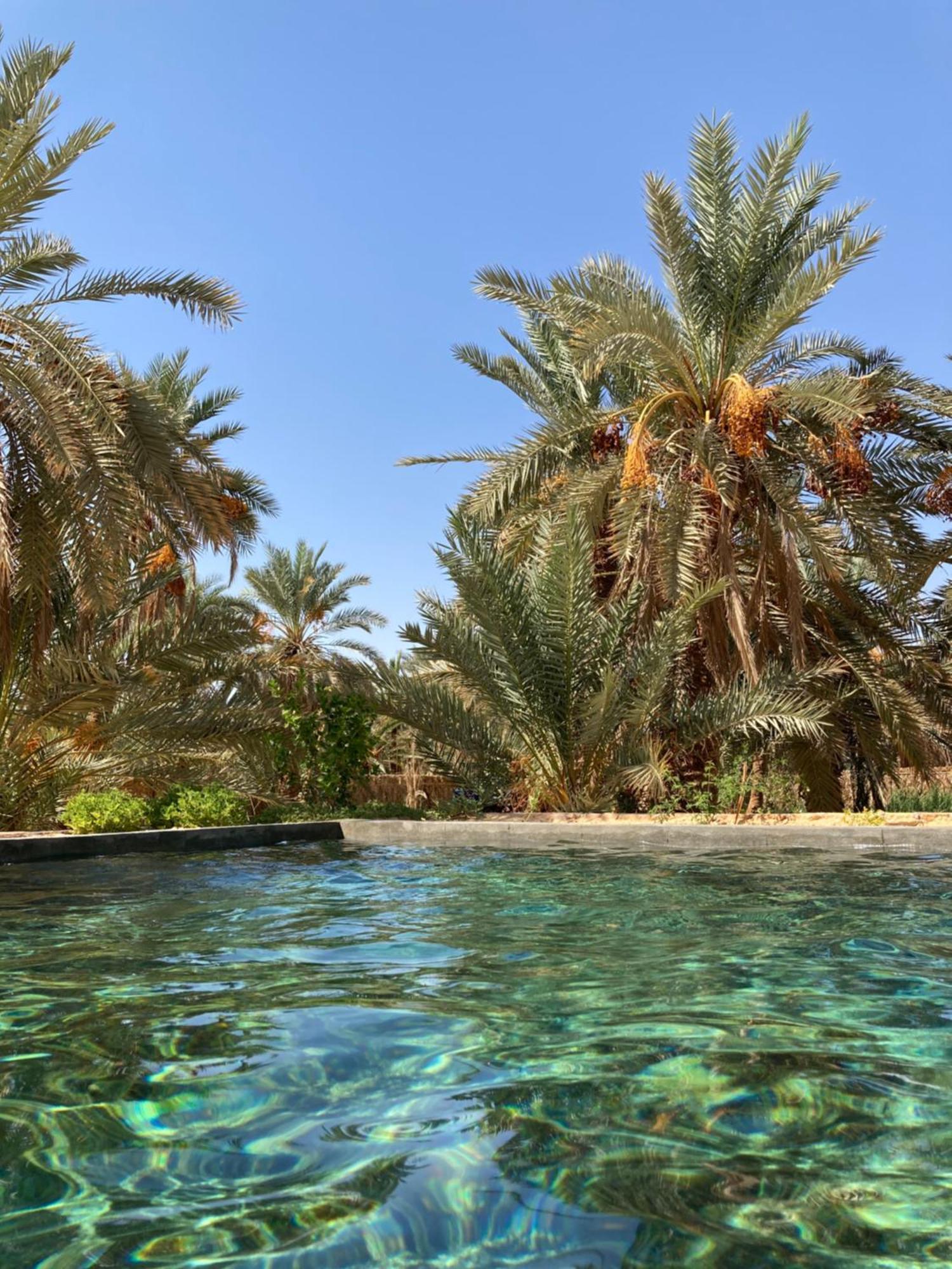 Wafla Villa Siwa Oasis Екстериор снимка