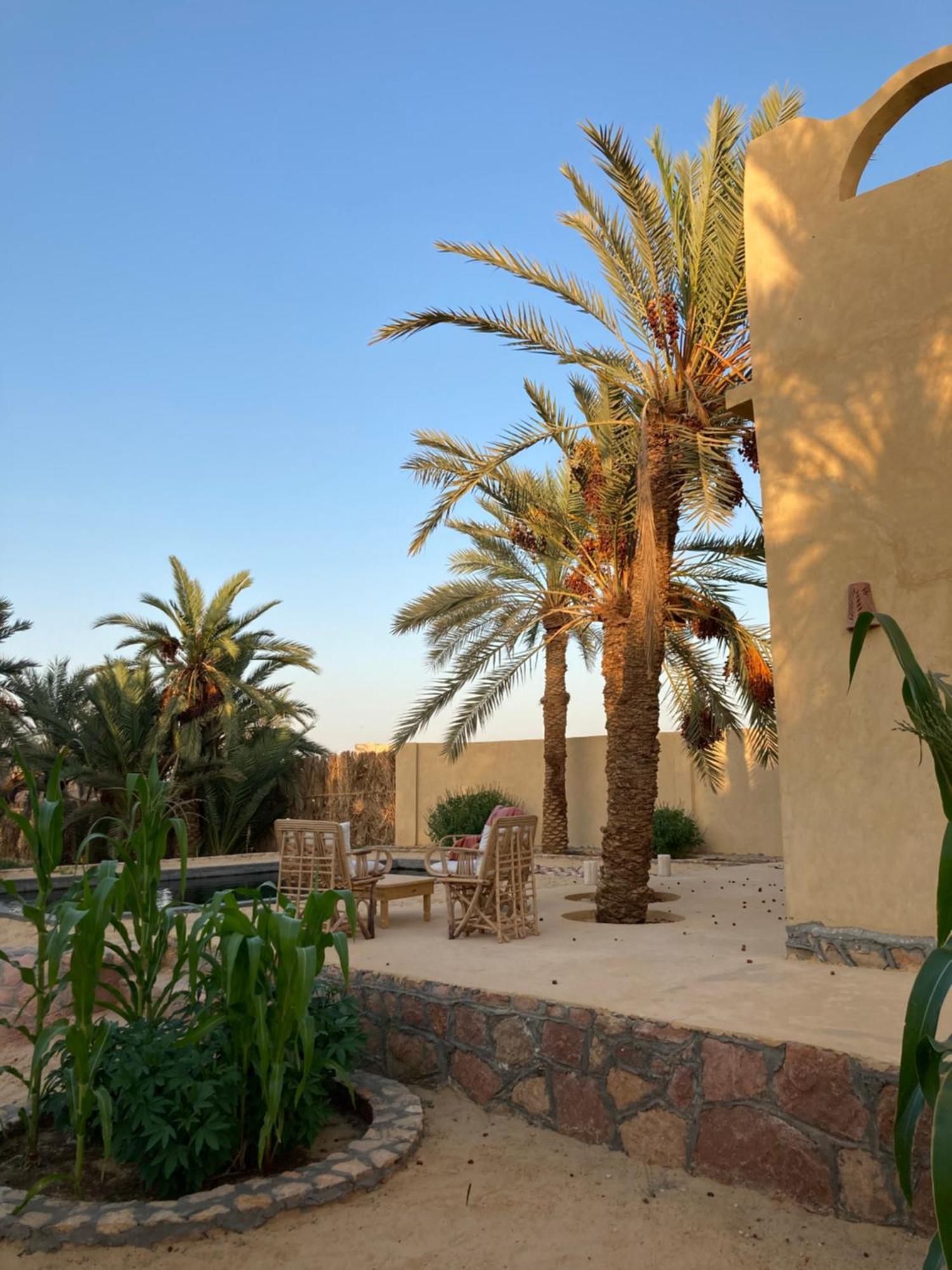 Wafla Villa Siwa Oasis Екстериор снимка