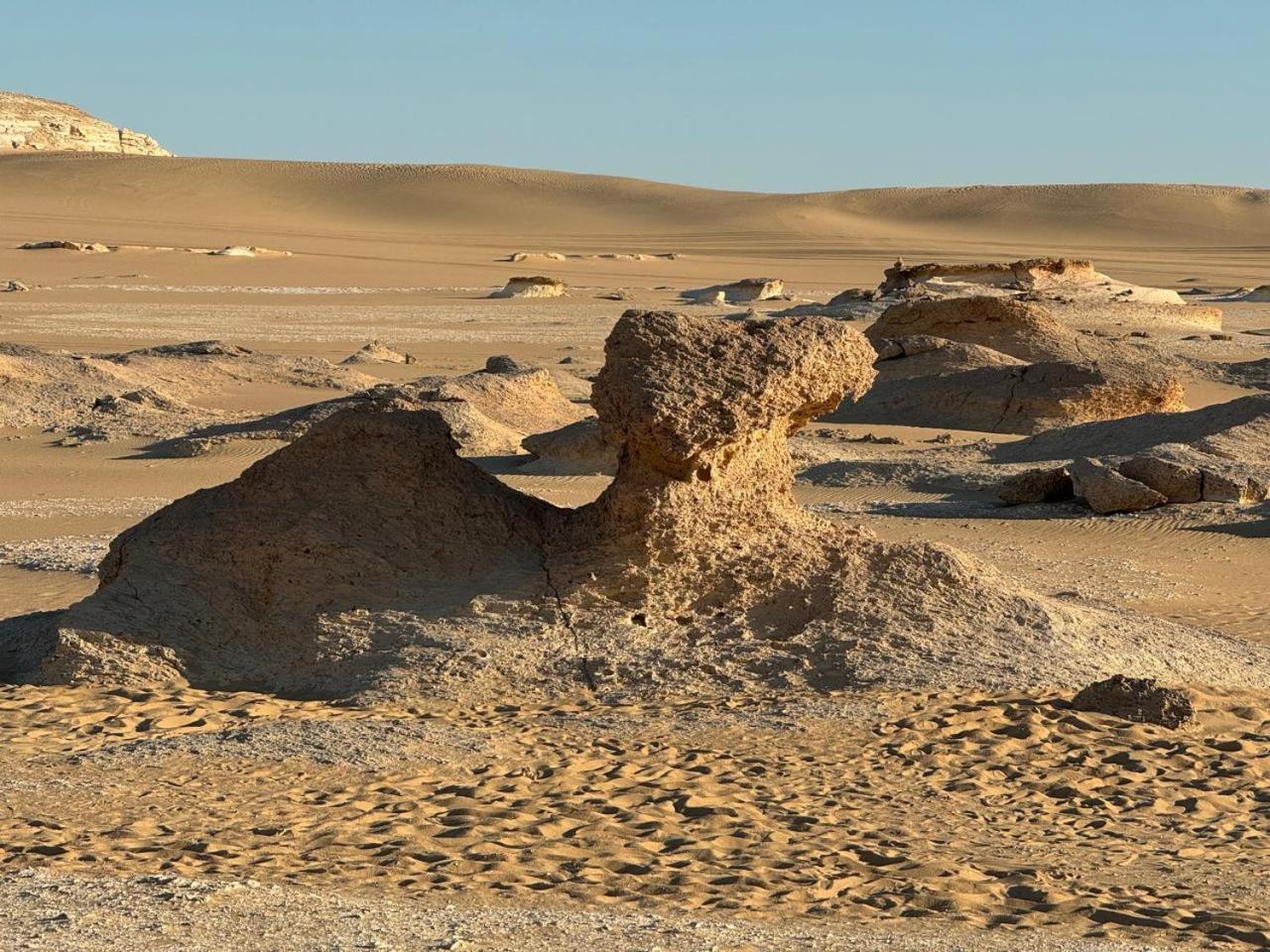 Wafla Villa Siwa Oasis Екстериор снимка